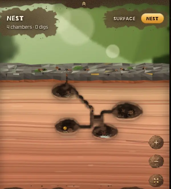 A young nest with four chambers, with workers foraging on the surface above